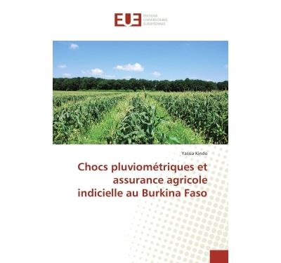 Chocs pluviométriques et assurance agricole indicielle au Burkina Faso