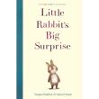 LITTLE RABBIT S BIG SURPRISE