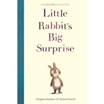 LITTLE RABBIT S BIG SURPRISE