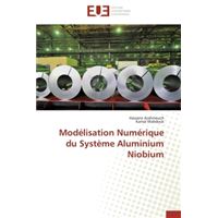Modélisation Numérique du Système Aluminium Niobium
