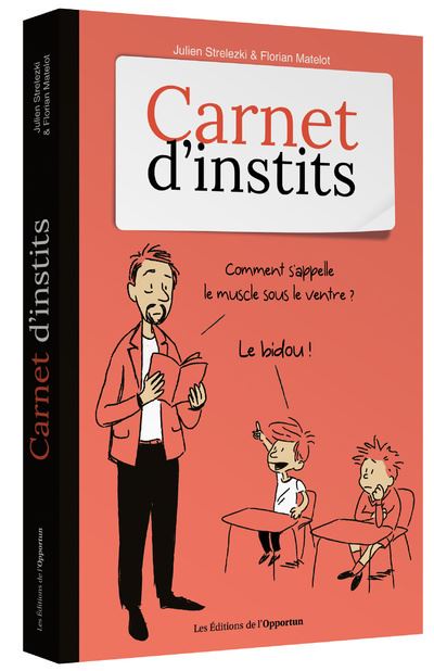 Carnet d'instits - Julien Strelezki - broché