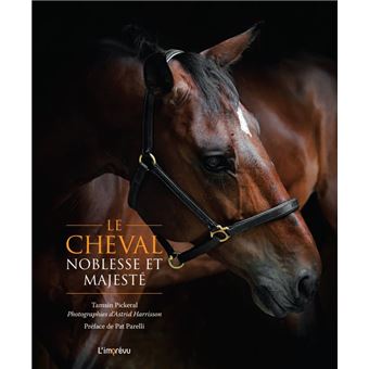 Le cheval, noblesse et majesté
