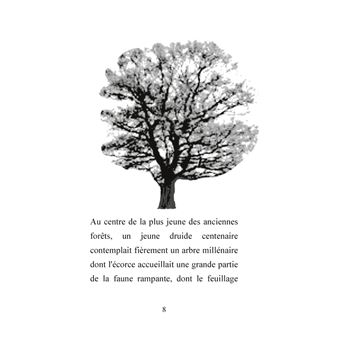 La forêt druidique  de Bort