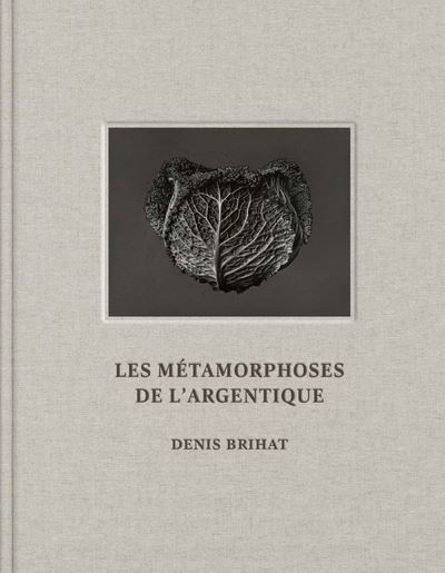 Les Métamorphoses de l'argentique - Denis Brihat - Denis Brihat - relié