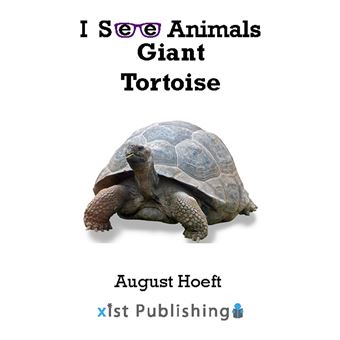 Giant Tortoise - 1