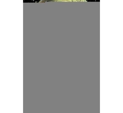 Thanos l'entité de l'infini