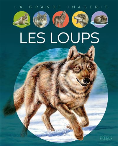 Les loups - Agnès Vandewiele - cartonné