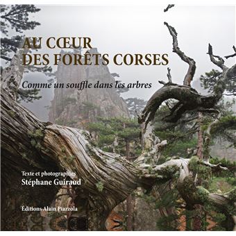 Au coeur des forêts corses