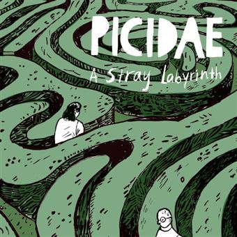 Picidae - 1