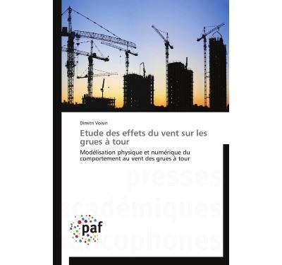 Etude des effets du vent sur les grues à tour