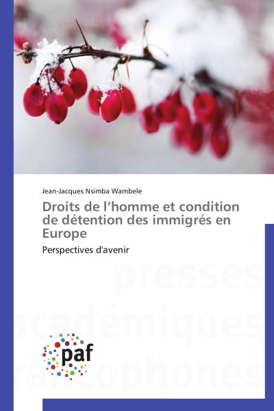 Droits de l homme et condition de détention des immigrés en europe