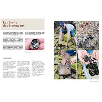 Guide du chasseur-cueilleur en bord de mer - Plantes & animaux du littoral