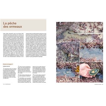 Guide du chasseur-cueilleur en bord de mer - Plantes & animaux du littoral