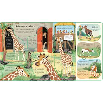 Le zoo - P'tits curieux Usborne