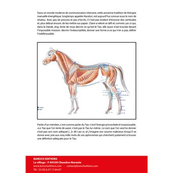 La voie des méridiens