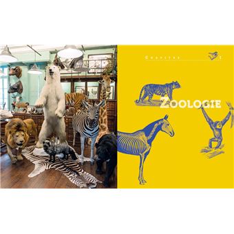 Leçons de choses & autres curiosités naturelles