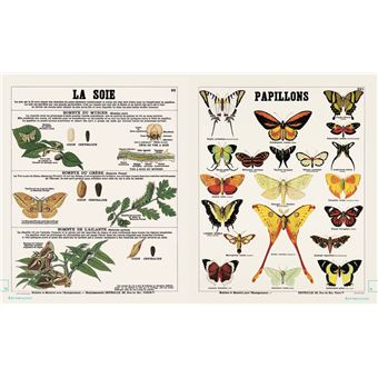 Leçons de choses & autres curiosités naturelles