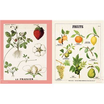 Leçons de choses & autres curiosités naturelles