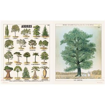 Leçons de choses & autres curiosités naturelles