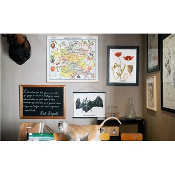 Leçons de choses & autres curiosités naturelles