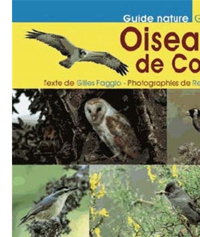 Les oiseaux de Corse