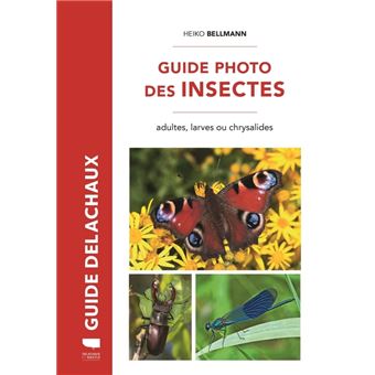 Guide photo des insectes