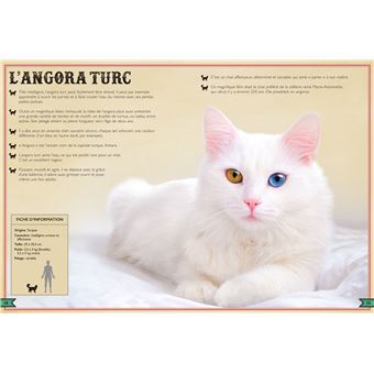 Le Livre extraordinaire des chats