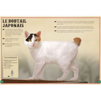 Le Livre extraordinaire des chats