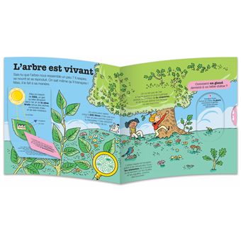 La vie des arbres