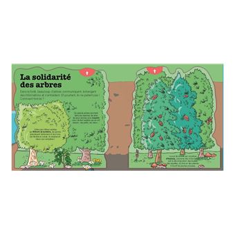 La vie des arbres