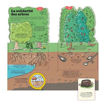 La vie des arbres