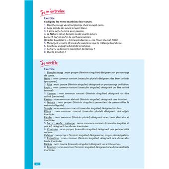 Objectif CRPE - 100 fiches efficaces pour bien réviser  - Français, épreuve écrite d'admissibilité