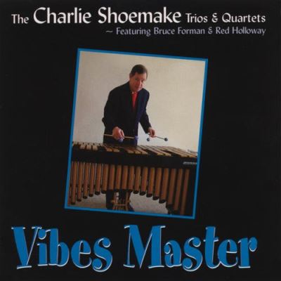 Vibes master