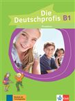Die Deutschprofis B1 - Cahier d'activités