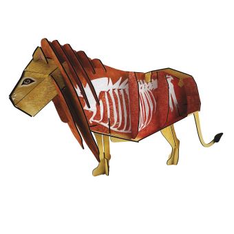 La savane - Le lion 3D