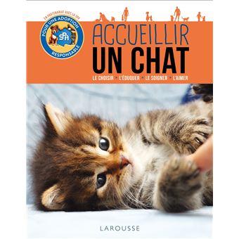 Accueillir Un Chat Broche Brigitte Bulard Cordeau Achat Livre Fnac