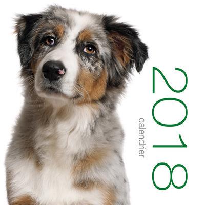 Calendrier mural 2018 Chiens