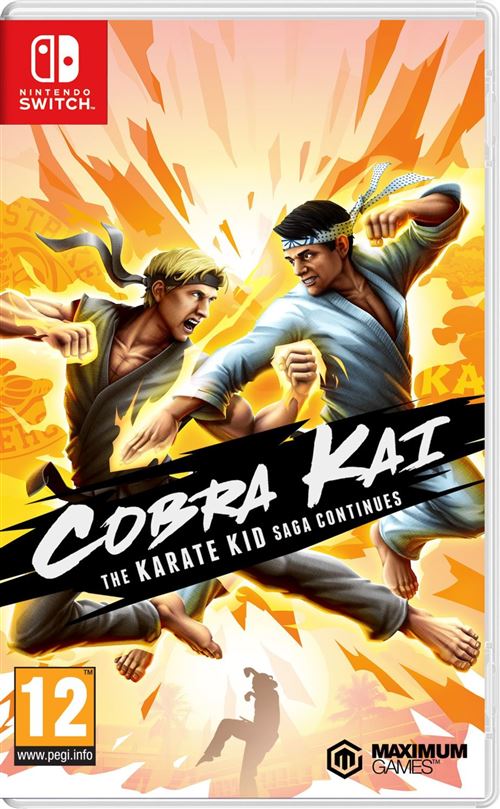 Cobra Kai : The Karate Kid Saga Continues Nintendo Switch