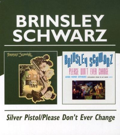 Silver pistol - Please don't ever change