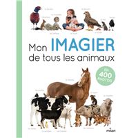 L'imagier du Père Castor : les animaux, 70 photos, 70 mots : A. Telier -  2080298127 - Livres pour enfants dès 3 ans