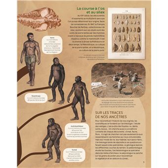 La préhistoire