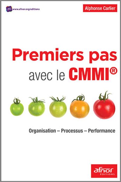 Premiers pas avec le CMMI