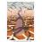 Coffret Jodorowsky’s Dune Edition Collector Combo Blu-ray DVD_1