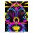 Coffret Jodorowsky’s Dune Edition Collector Combo Blu-ray DVD_2