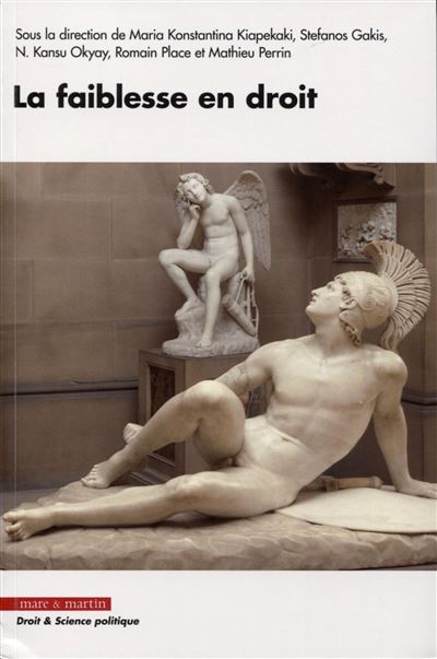 La faiblesse en droit - Maria Konstantina Kiapekaki - broché