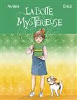 La boîte mystérieuse