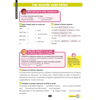 Ca y est, je sais ! Français CE2