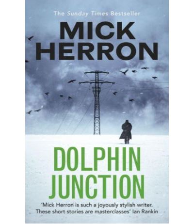Dolphin Junction