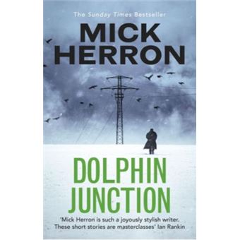 Dolphin Junction