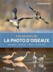 Les secrets de la photo d'oiseaux